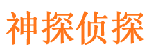 民勤市调查公司